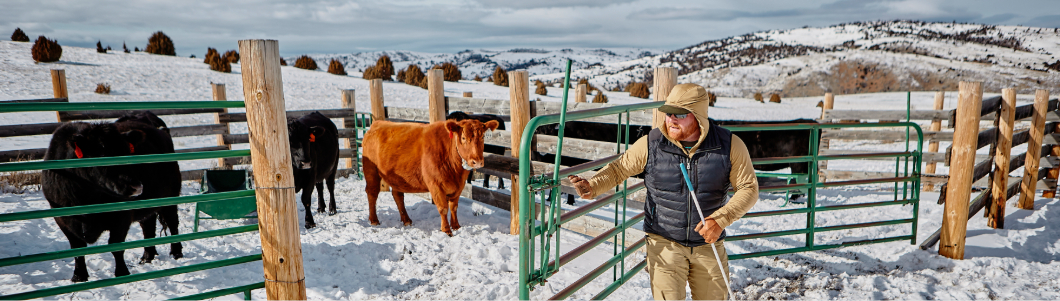 livestock management