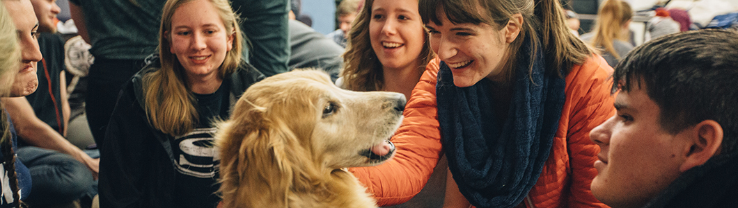 A group of people surround a therapy dog.