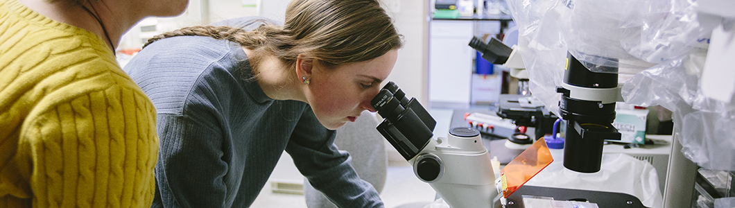 A young woman inspects a sample in a microscope.