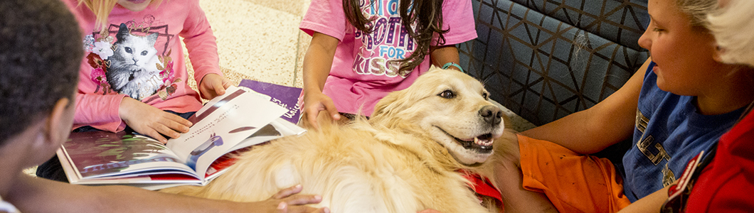 A therapy dog happily reclines into the laps of students.