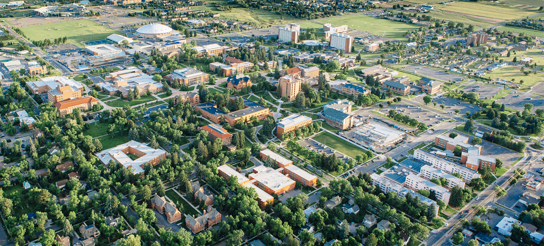 Aerial view of campus in summer.