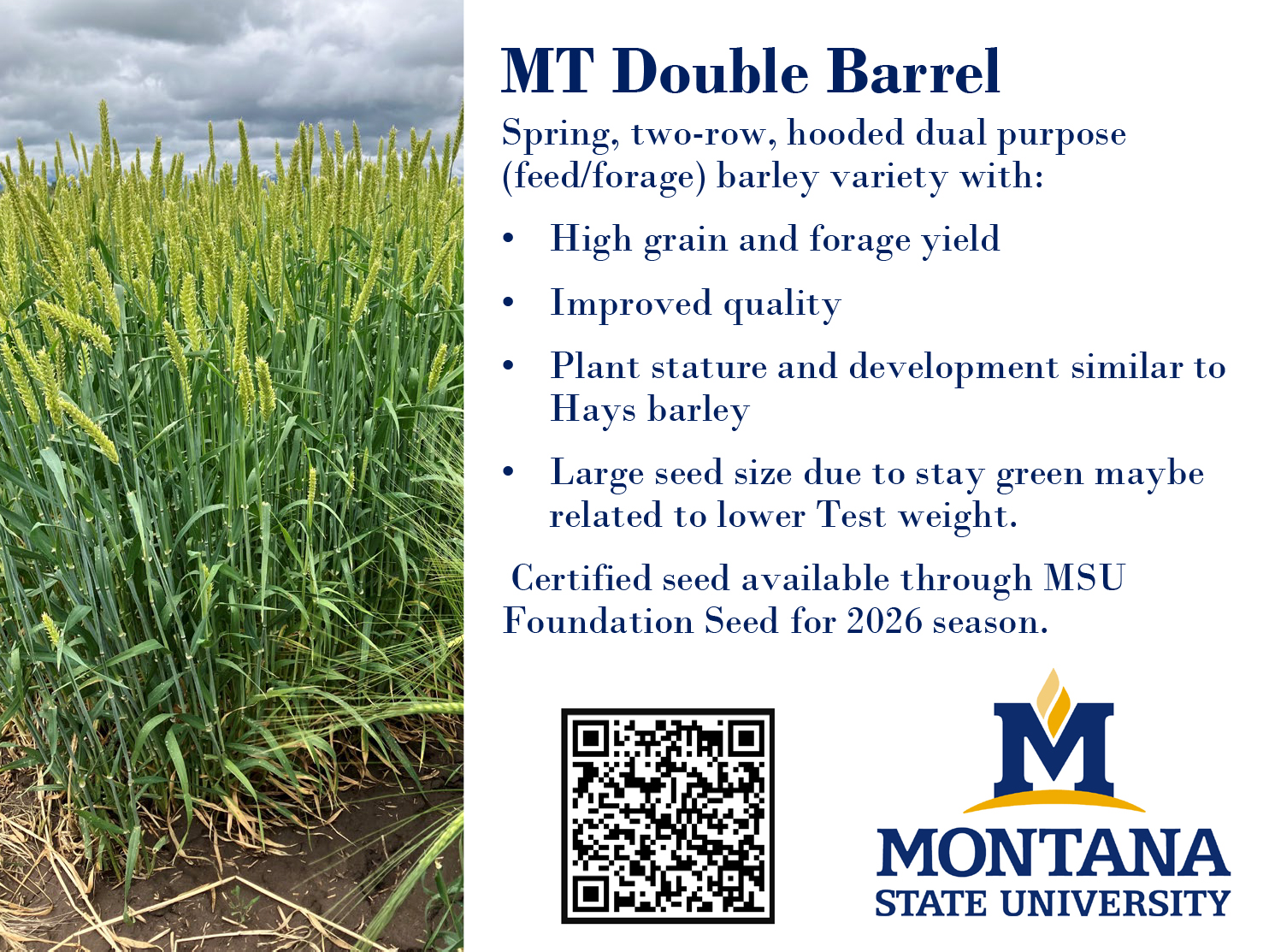 Double barrel promo card front