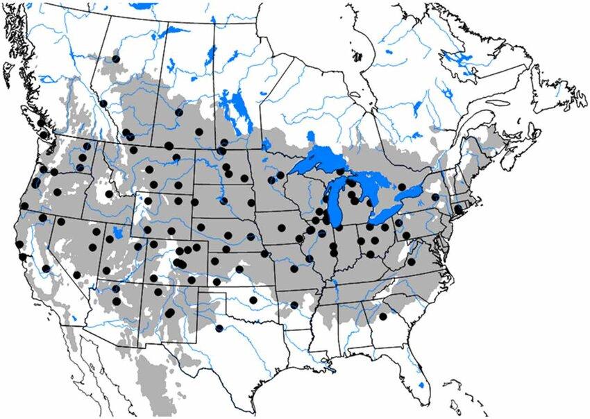 US map depicting potential sawfly distribution