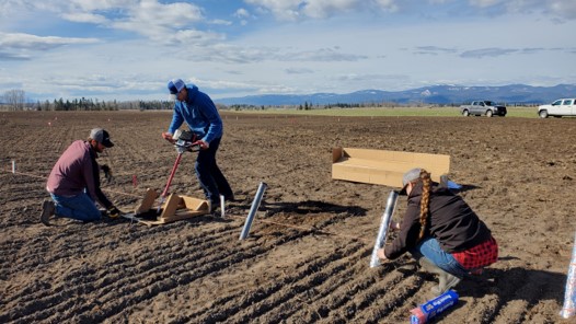 Trevor and others working on a previous project of his aimed at imaging root systems.
