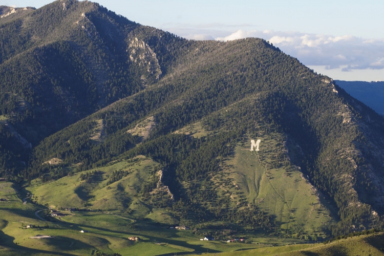 Photo of "College M" Hiking Trail