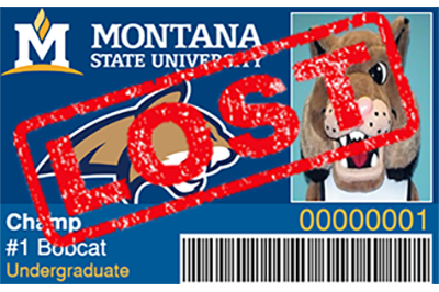 CatCard Stamped Lost