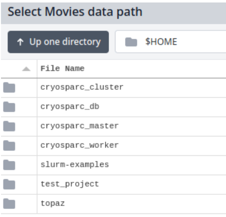 Select movie data path
