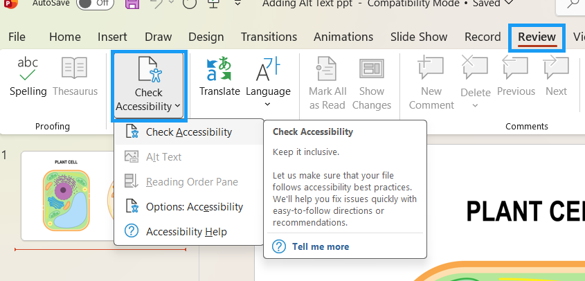 Powerpoint presentation with the Review tab highlighted and the check accessibility option highlighted below