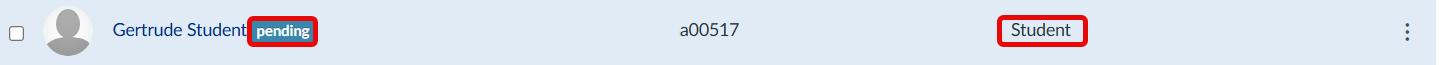 line in the People area of Canvas with a student name and the identifier of "pending" next to it outlined in red