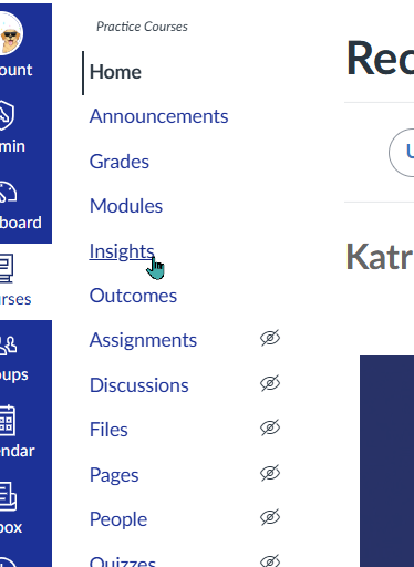 Course Navigation with Insights link highlighted