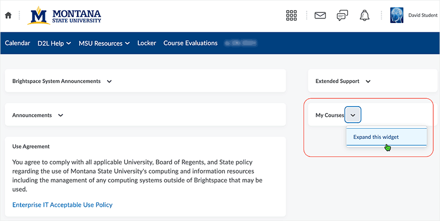 Brightspace screenshot - CD 20_21_06 - expand the my courses widget as necessary