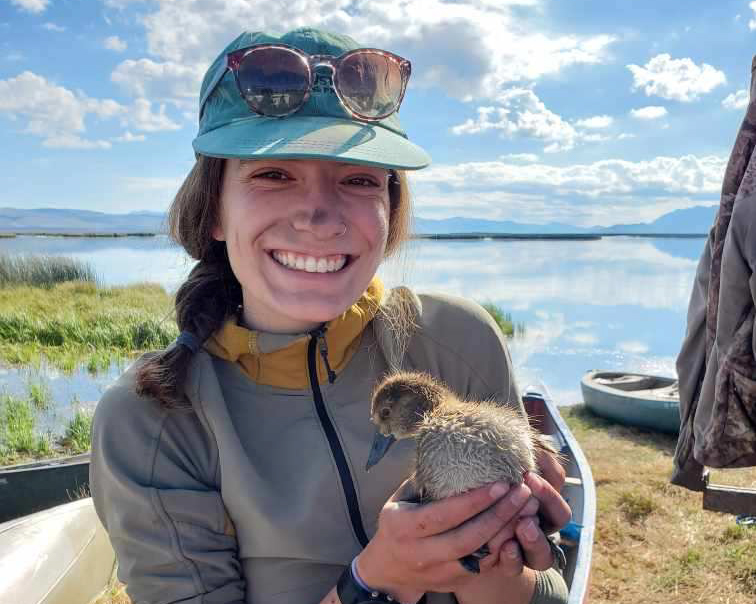 Lydia Diehl Lydia Diehl