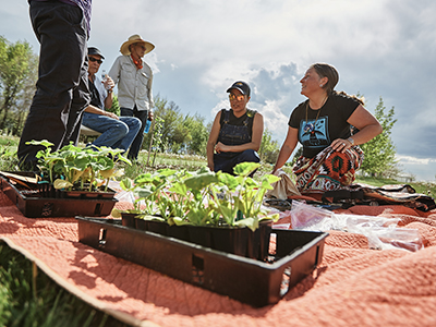 Buffalo Nations Food Sovereignty - Indigenous - Alumni Donation