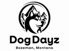 logo for Dog Dayz