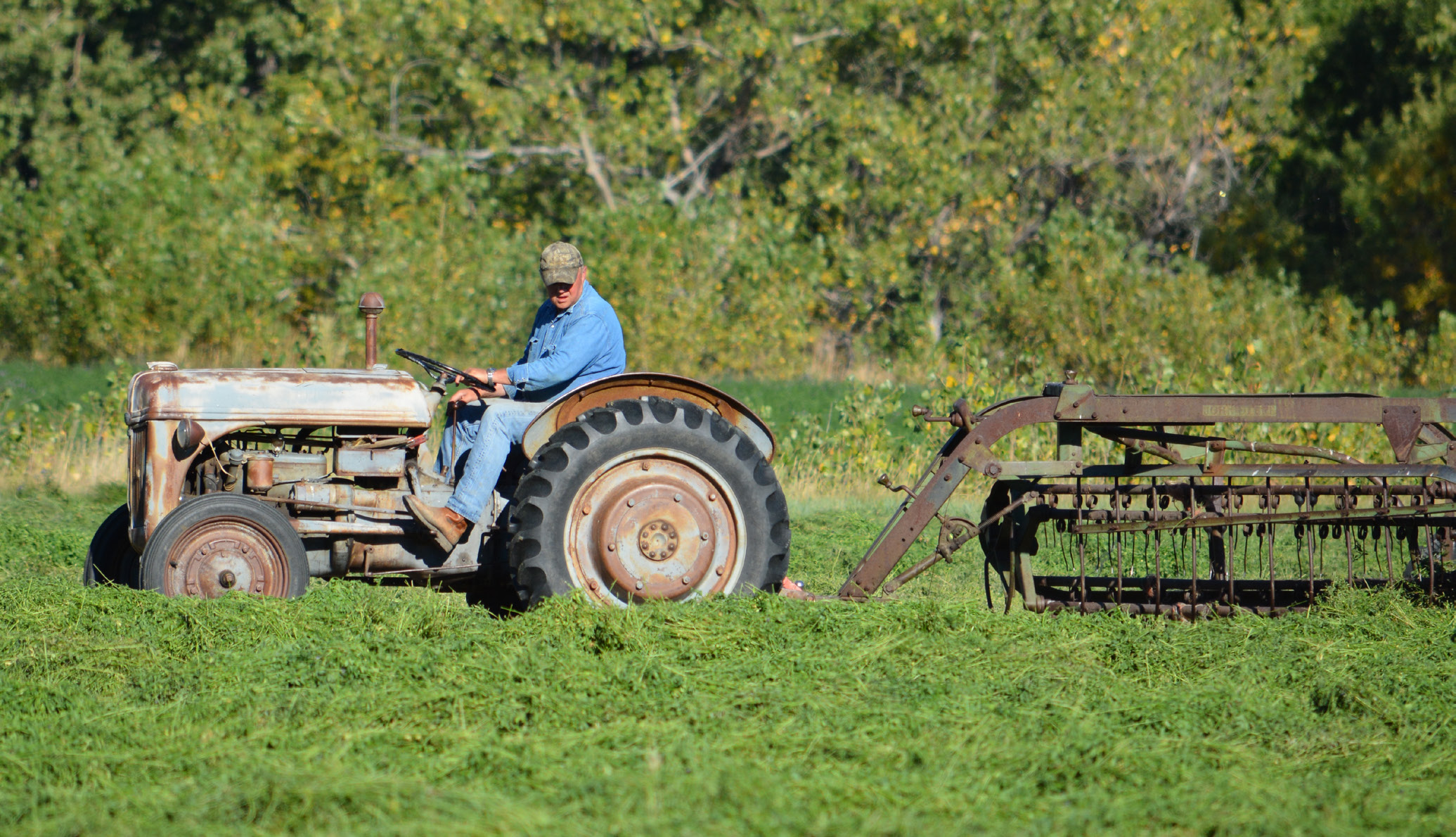 Farmer Driving Tractor