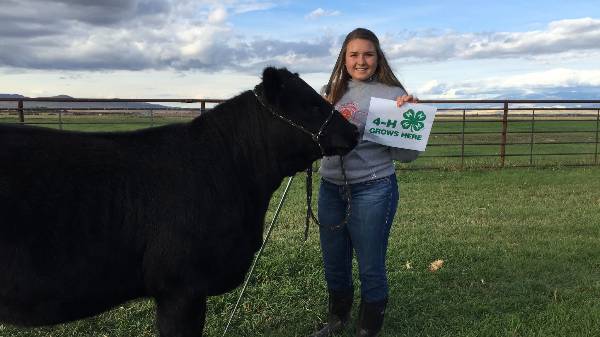 girl with steer