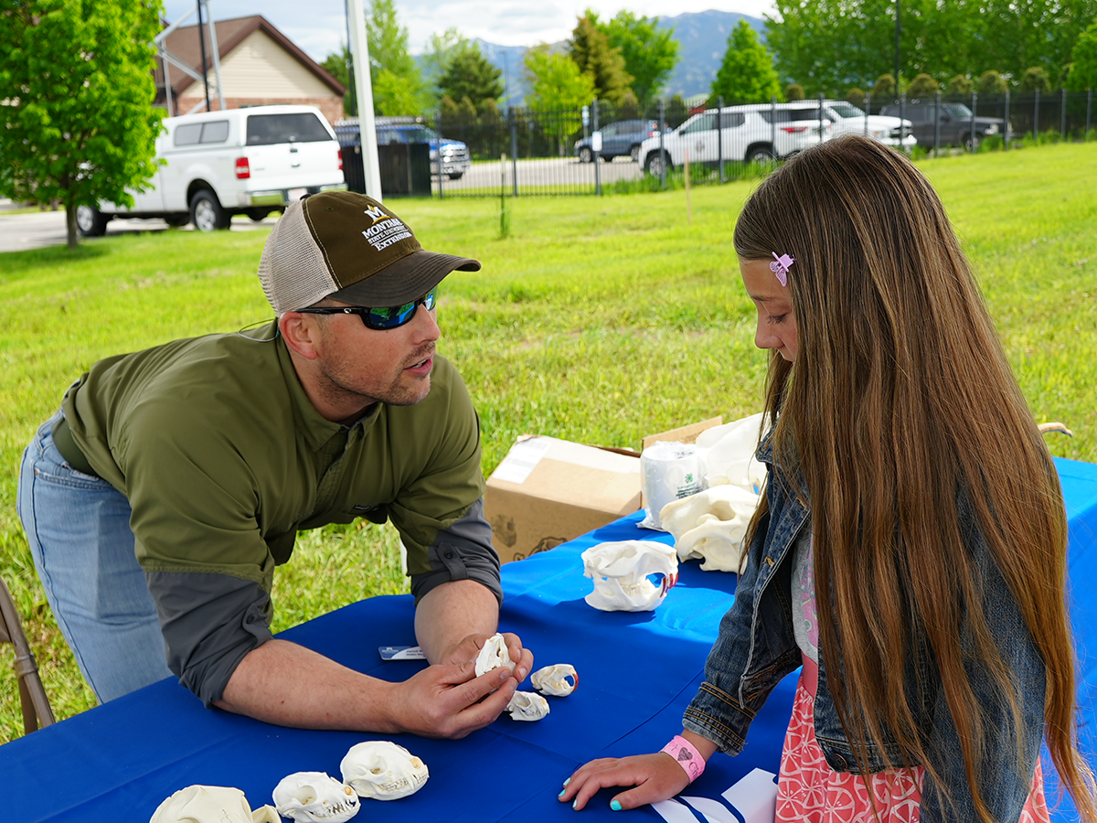A mentor bending down over a table showing a young girl the skulls of various small animals