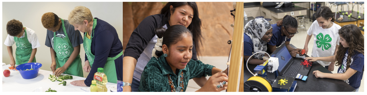 4-H'ers cooking, weaving, and engaging in STEM activities