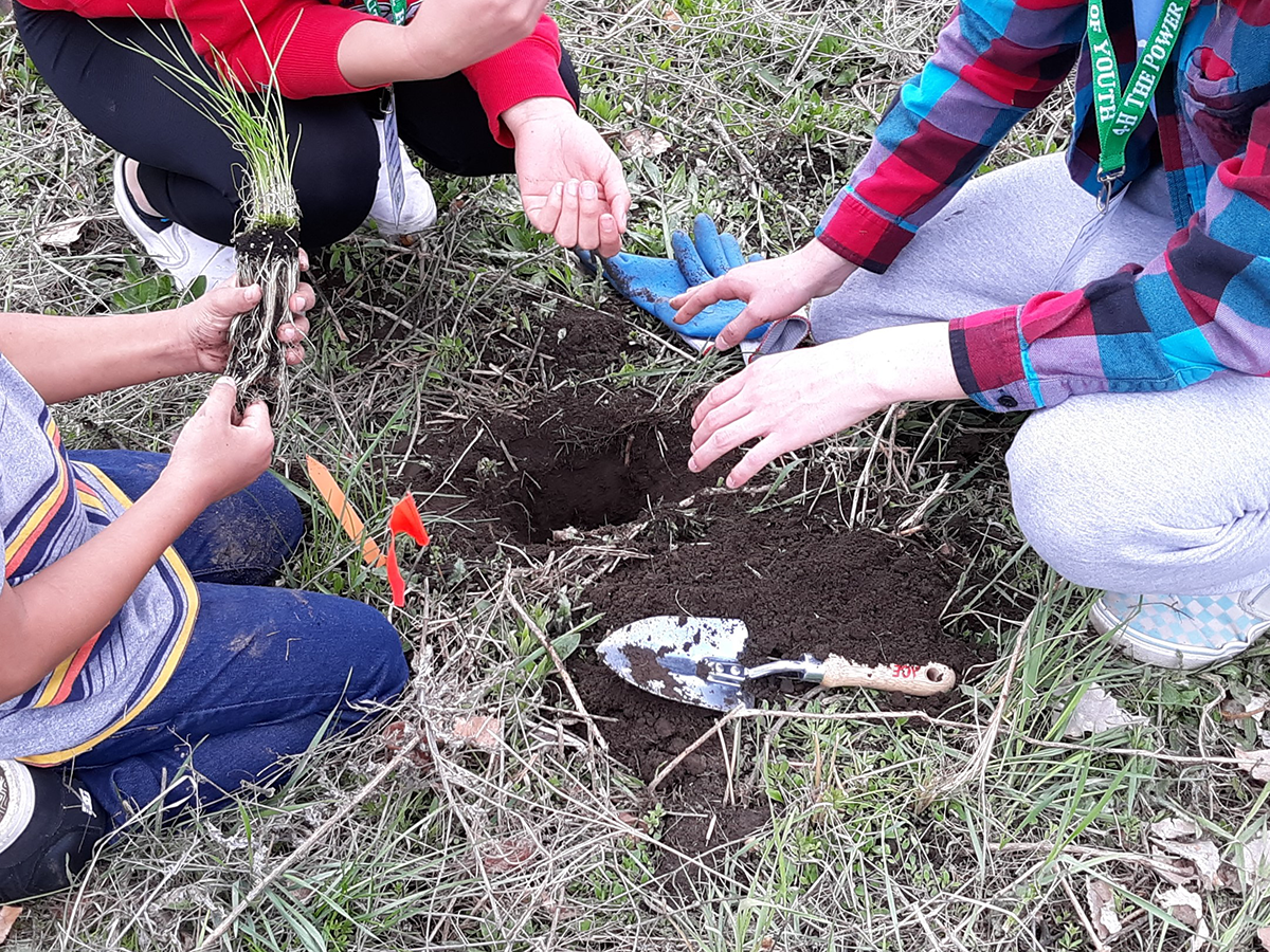 A few kids sitting around a hole in the ground. One student is holding a small plant