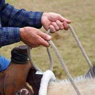 Person on a tan horse holding reins tightly with their hands facing up