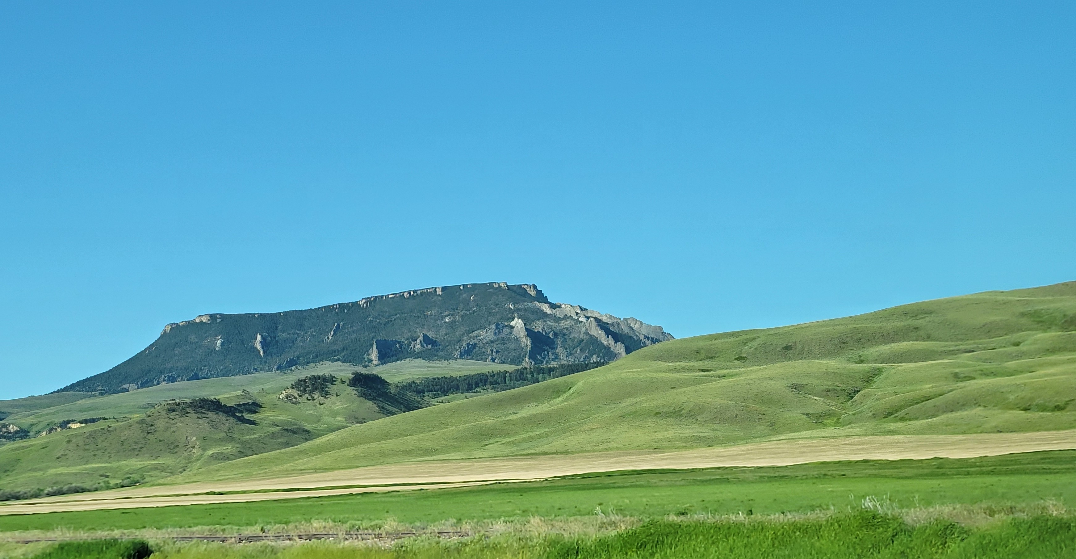Green pasture in Chouteau County