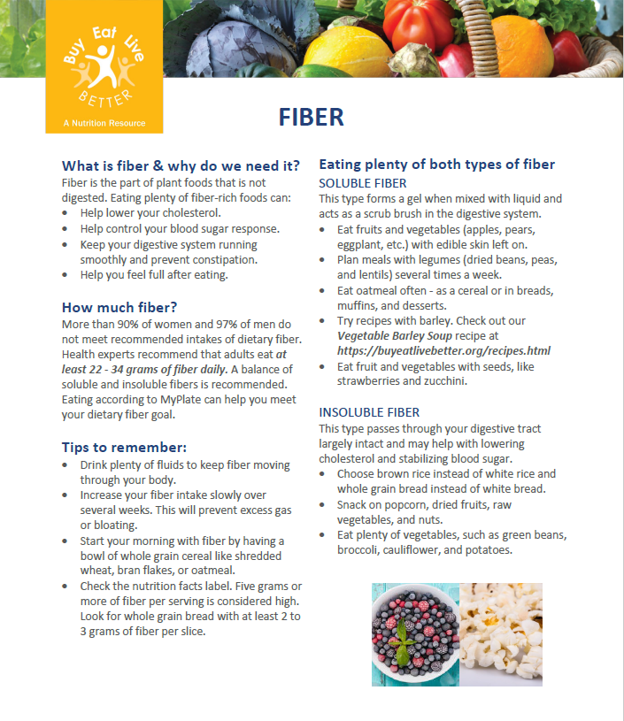 A snapshot of the Fiber factsheet printable PDF