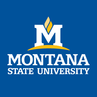 Blue MSU Logo