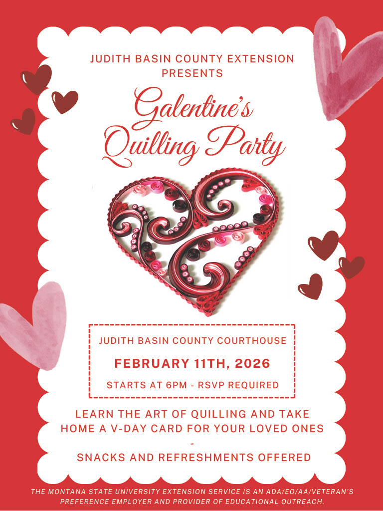 Galentine's Day Flyer
