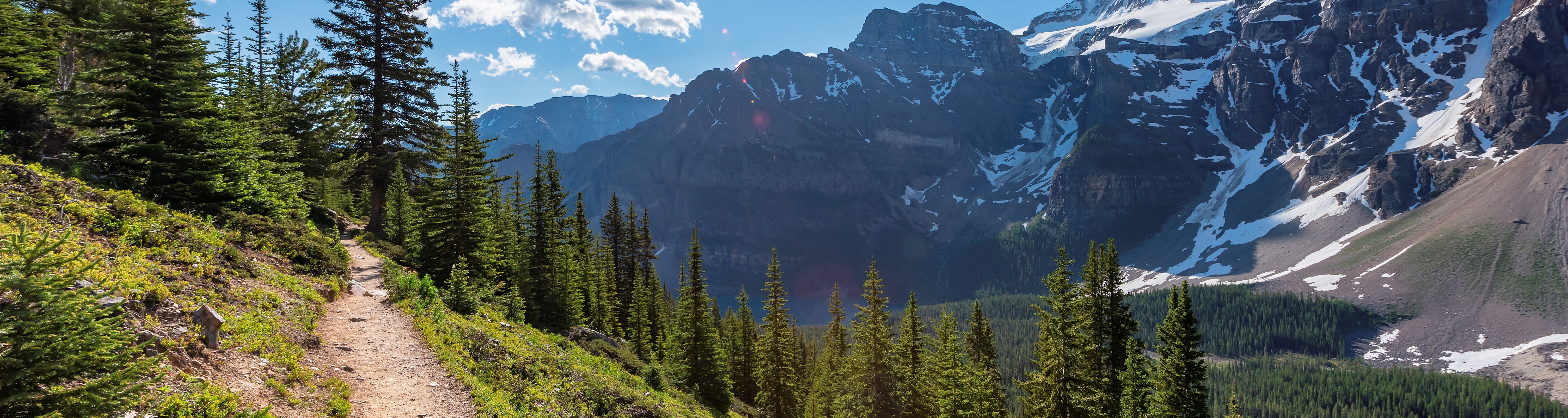 Mountain trail set in front of sweeping mountain vista under clear blue sky