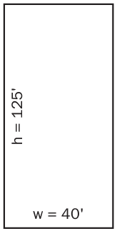 a line drawing of a rectangle with the width measuing 40 feet and the length measuring 125 feet.