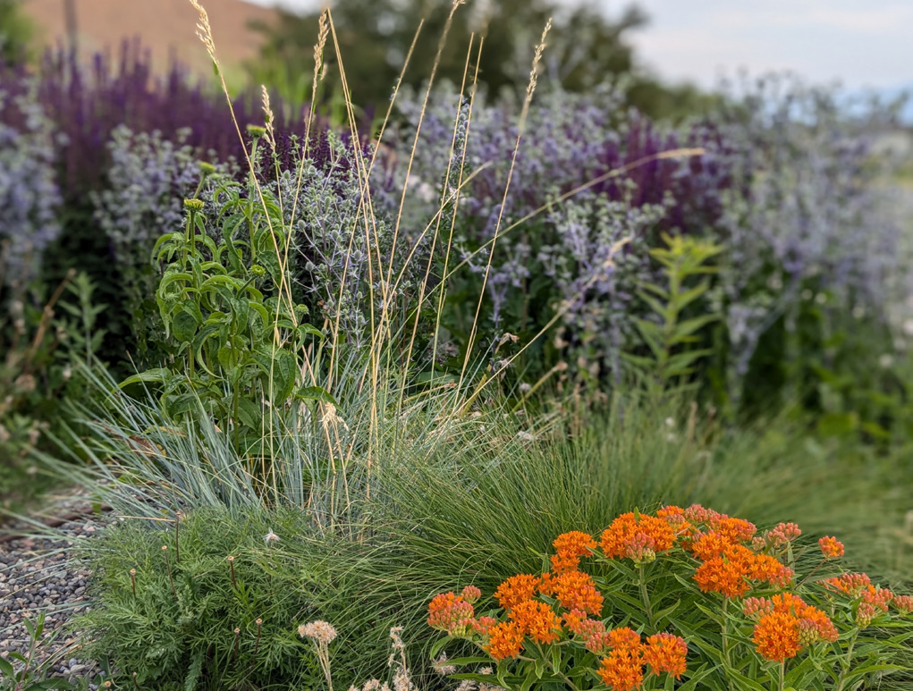 a combination of flowers with different textures and varieties 