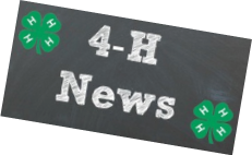 4-H Newsletter