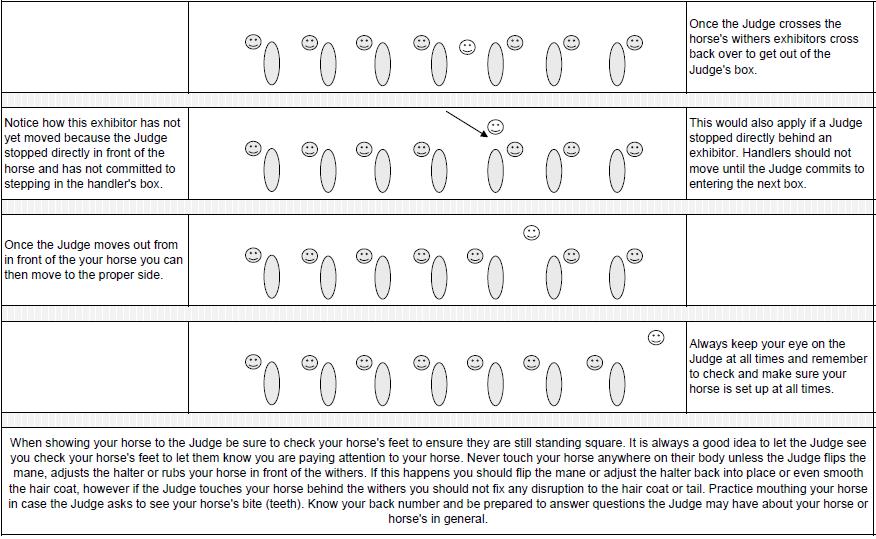 2nd set of examples horse judge moving through line up