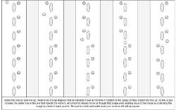 3rd set of examples judge moving through line up