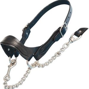 leather show halter