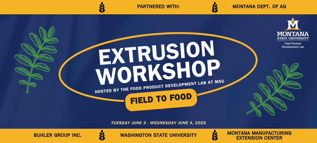 Extrusion workshop banner