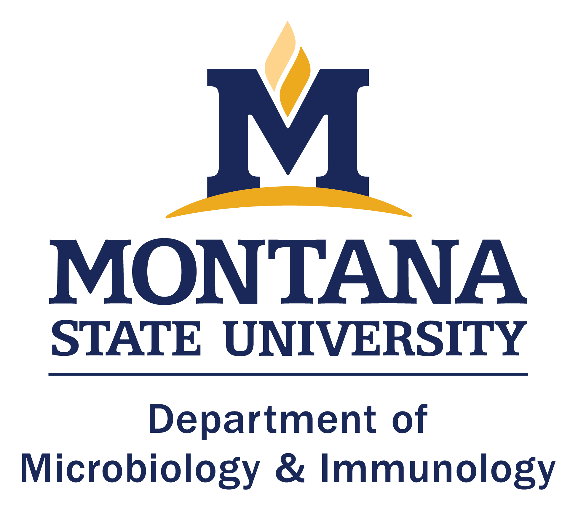 MSU Logo