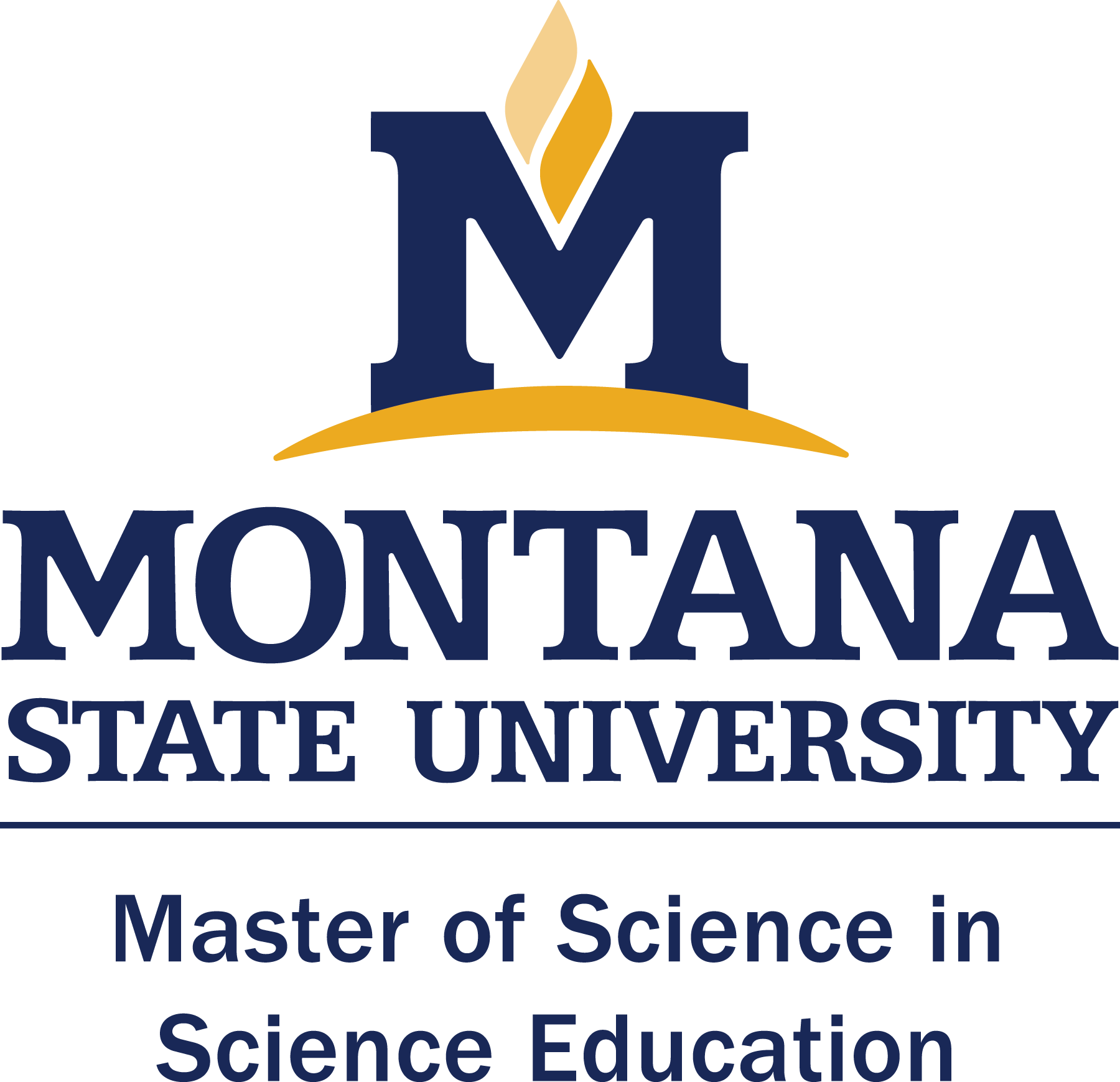 MSSE logo