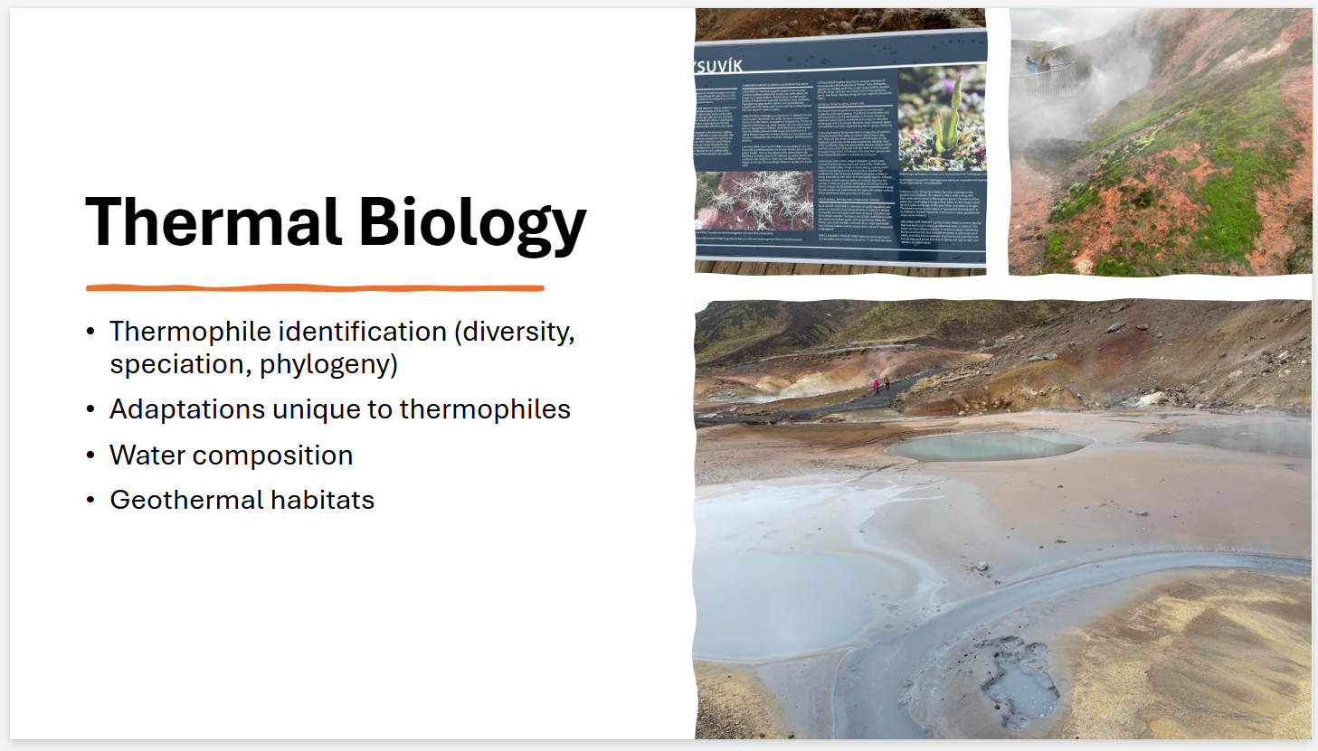 slide 7