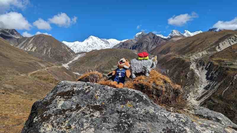 A picture of Champ the Bobcat and a stuffed yak along on the journey to Gokyo