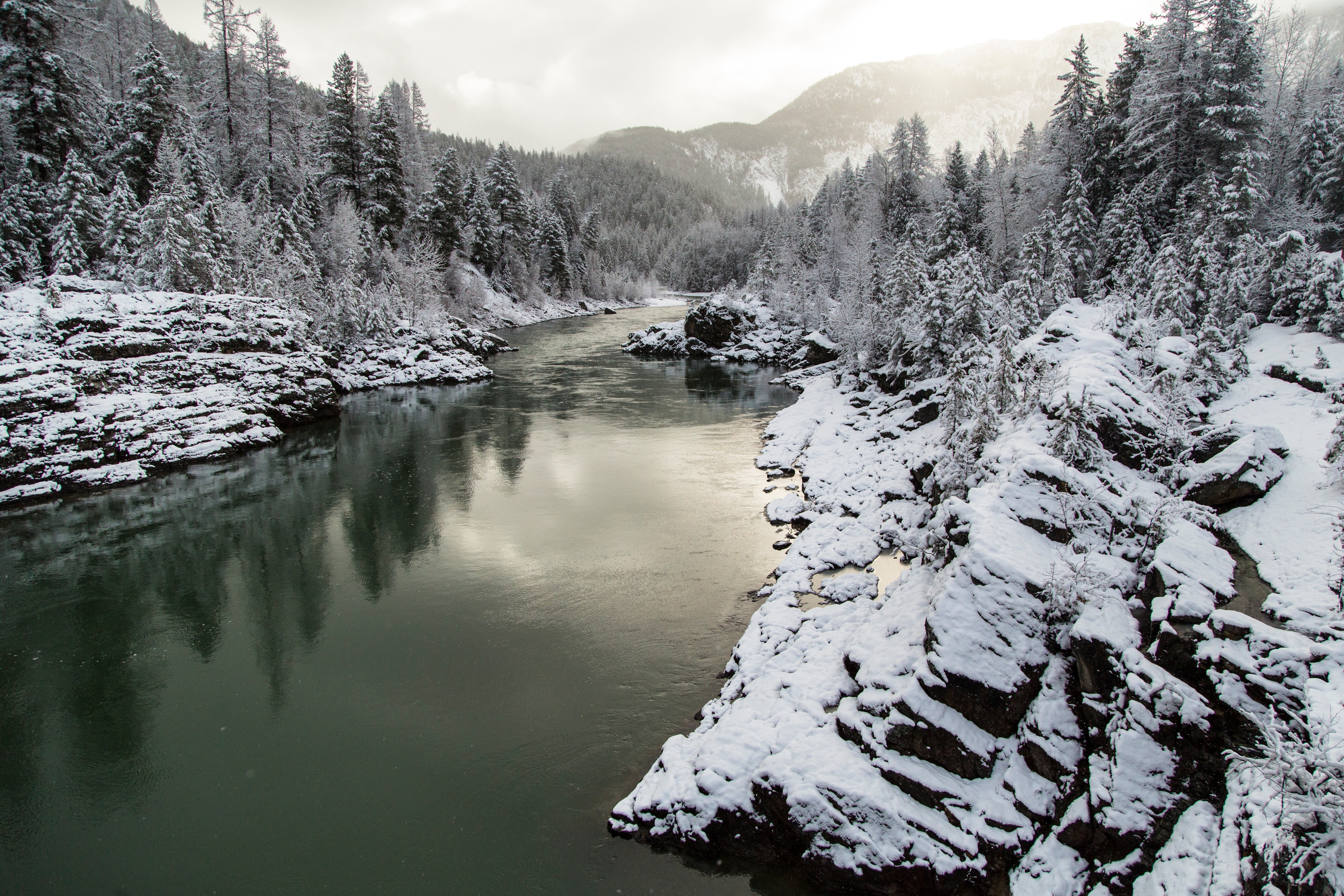 Winter scene