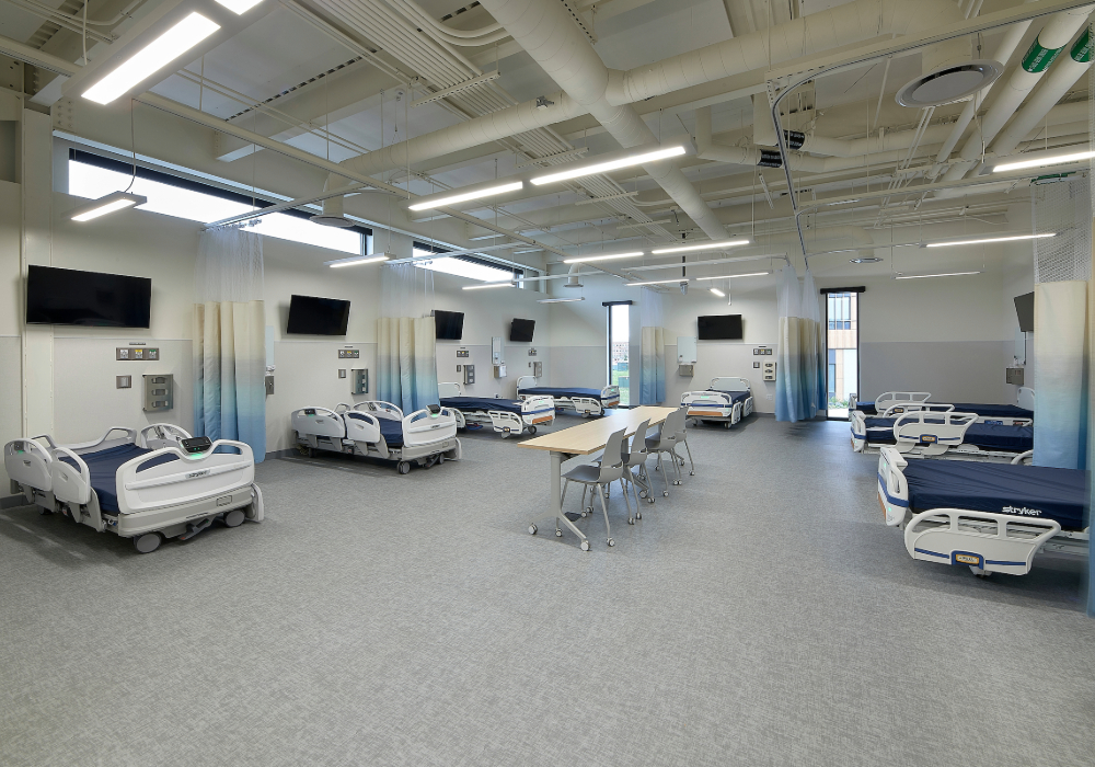 simulation area in jones hall 