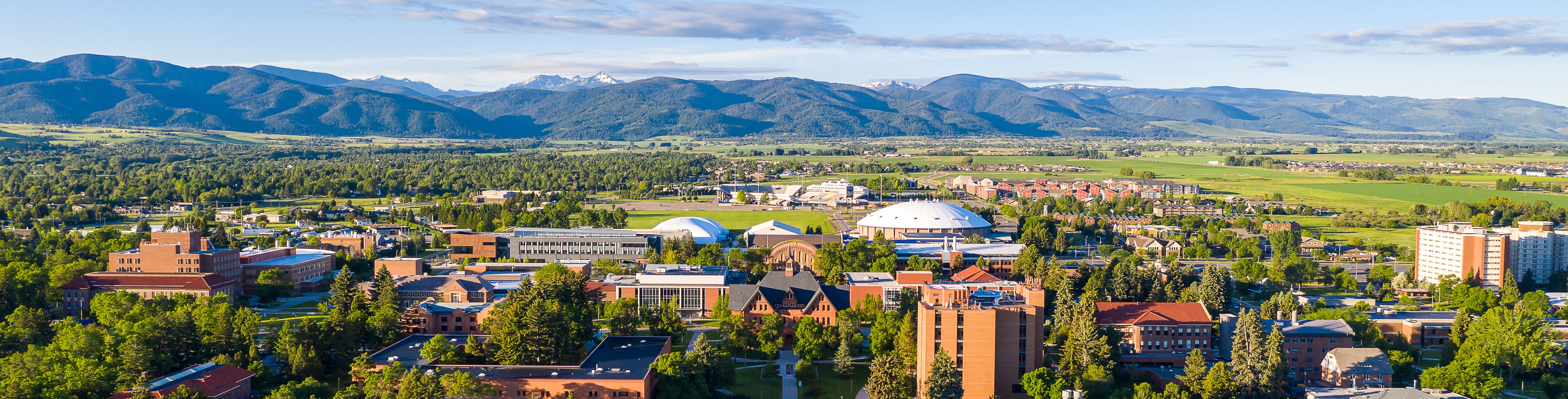 Town of Bozeman 