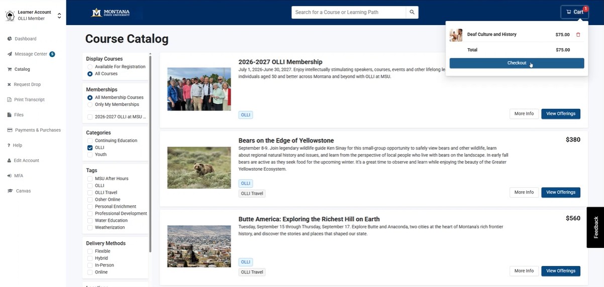 Shopping cart page showing the Checkout button near the upper right