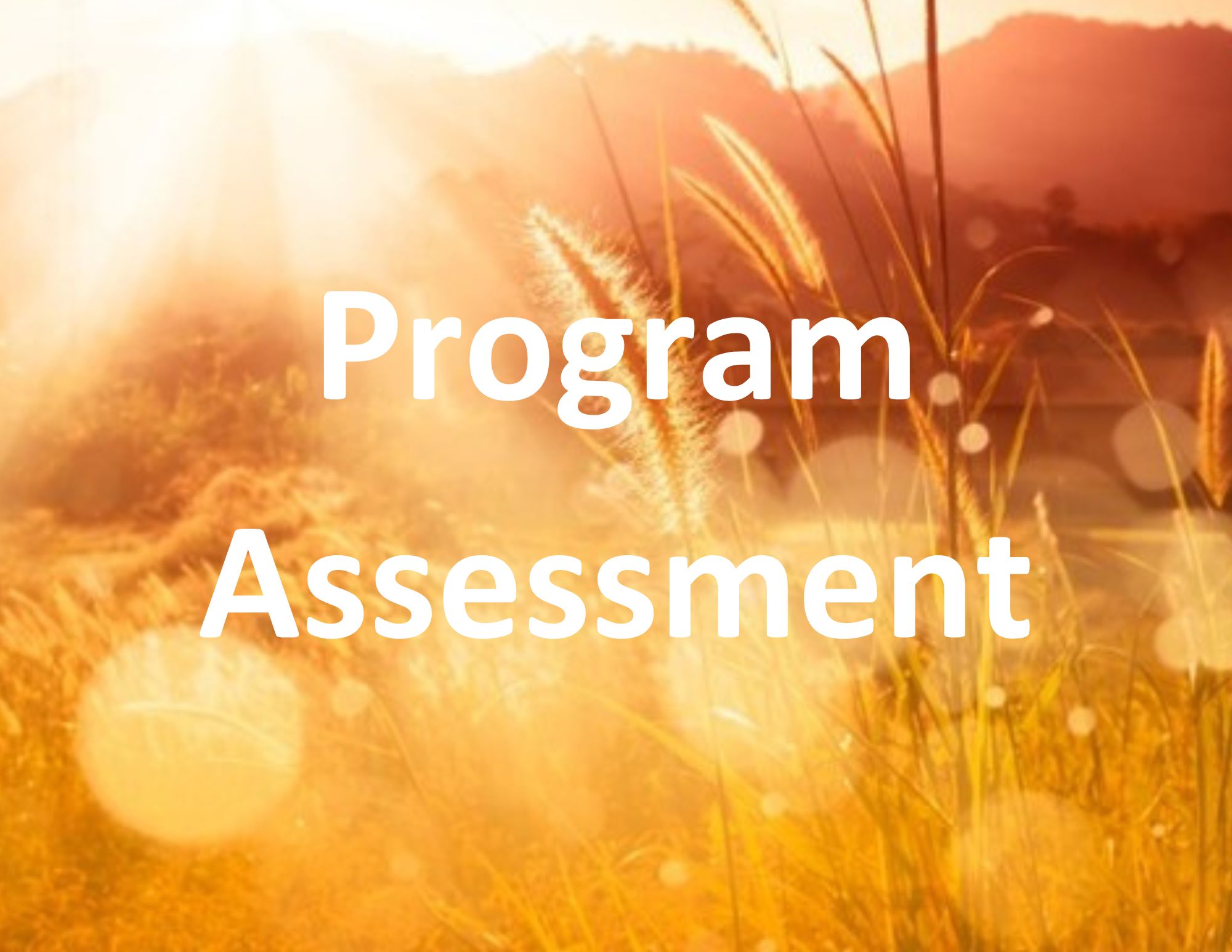Program Assessment