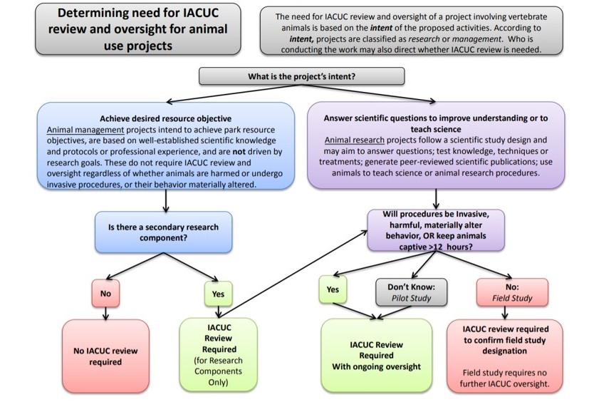 IACUC activity required process IACUC activity required process