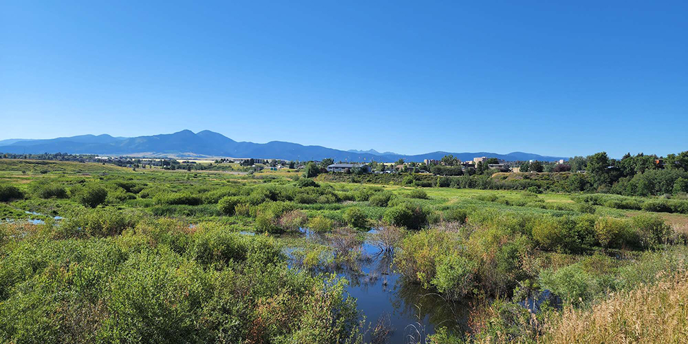 Indreland Audubon Wetland Preserve