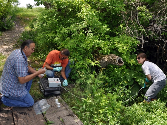 John Doyle leading water quality research